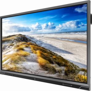 Купить Монитор Prowise 86" (PW1150861001) в рассрочку без процентов