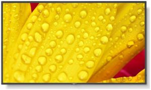 Купить Монитор Nec Multisync Me501 (60005053) в рассрочку без процентов